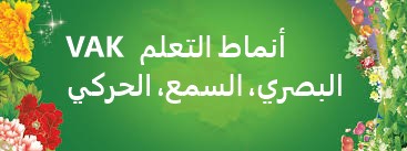 انماط التعلم ( البصري. السمعي . الحركي )